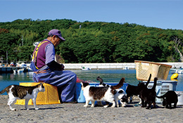 田代島