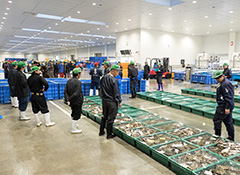 Ishinomaki Fish Market