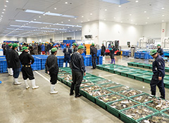 石巻魚市場