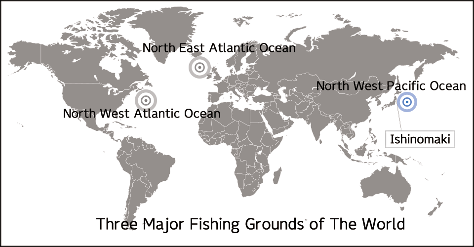 The three major fishing grounds of the world