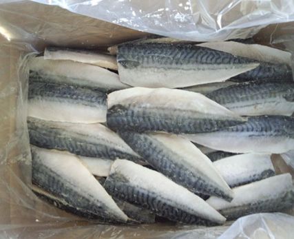 Salted Mackerel Fillet