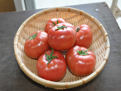 Tomato