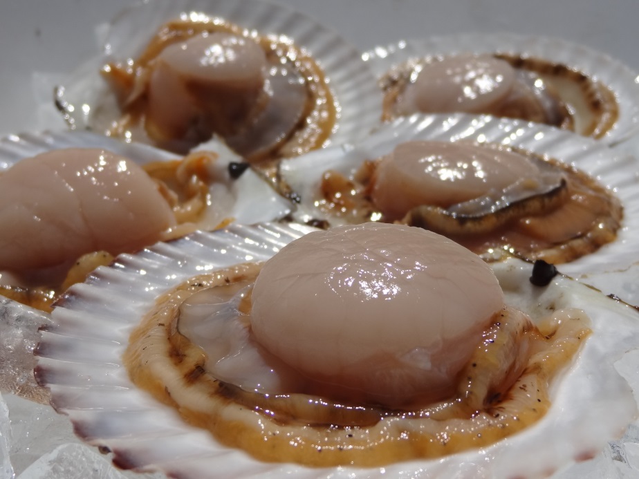 Frozen scallop with full shell