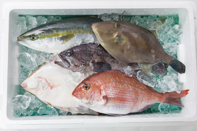 Fresh fish box from Ishinomaki